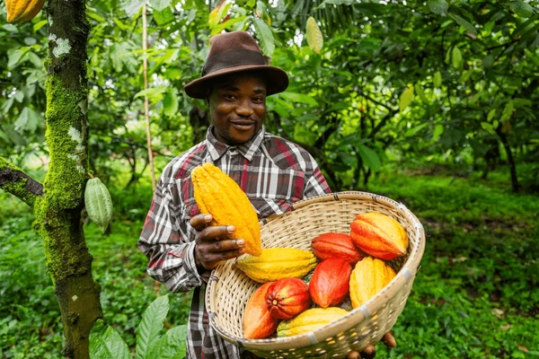 Med%20Food%20Industry